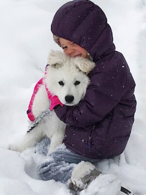 Little Girl and Swiss Shepherd Puppy little girl hugging white swiss shepherd puppy in the snow